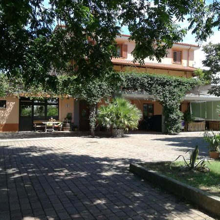 Guesthouse Skofije Ob Parenzani Spodnje Skofije 外观 照片