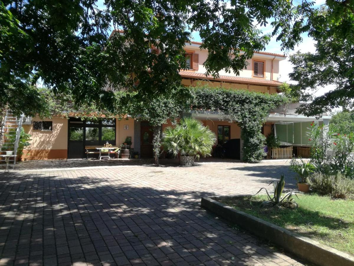Guesthouse Skofije Ob Parenzani Spodnje Skofije 外观 照片