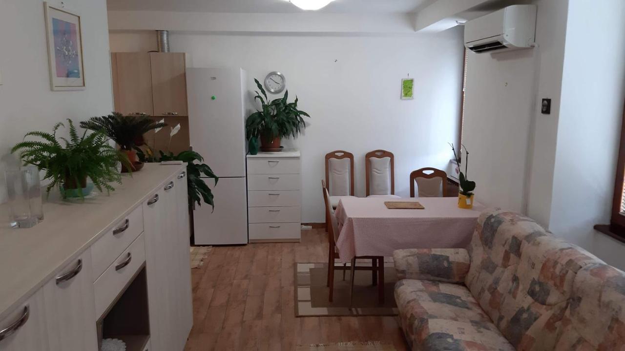 Guesthouse Skofije Ob Parenzani Spodnje Skofije 外观 照片